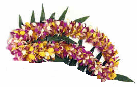 Double orchid lei